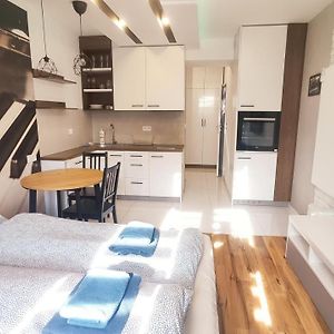 Appartement met een Slaapkamer